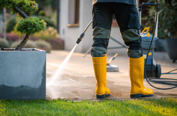 Best Pressure Washing Company Near Me  in Brook Highland, AL